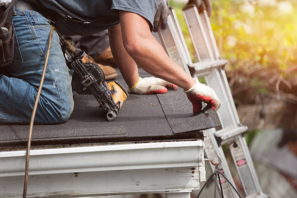 Best Shingle Roofing Installation  in Newport, DE