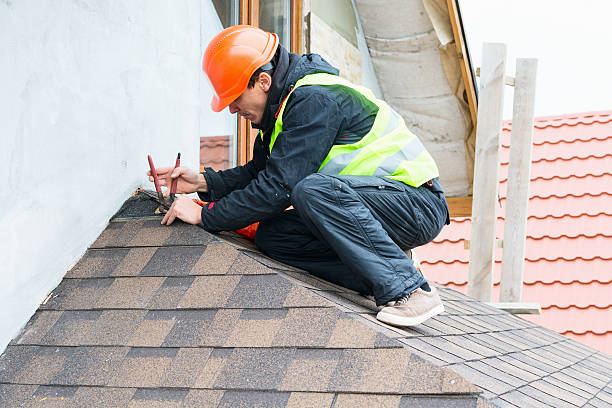Best Roof Leak Repair  in Newport, DE
